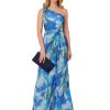 Women's Print Chiffon Long Dress
