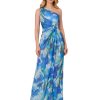 Women's Print Chiffon Long Dress