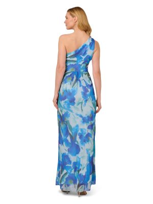 Women's Print Chiffon Long Dress