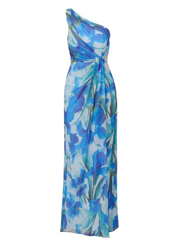Women's Print Chiffon Long Dress
